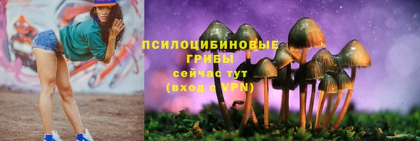 дмт Алексеевка