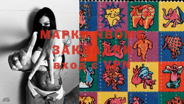 кокс Дмитриев